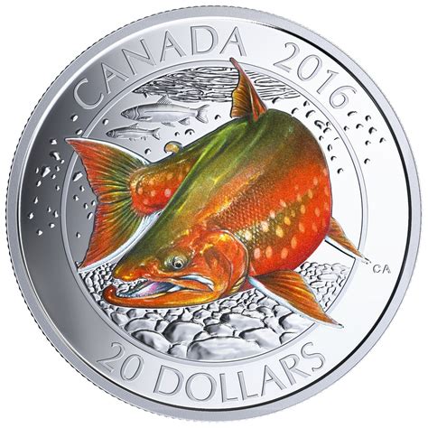 coin to fish